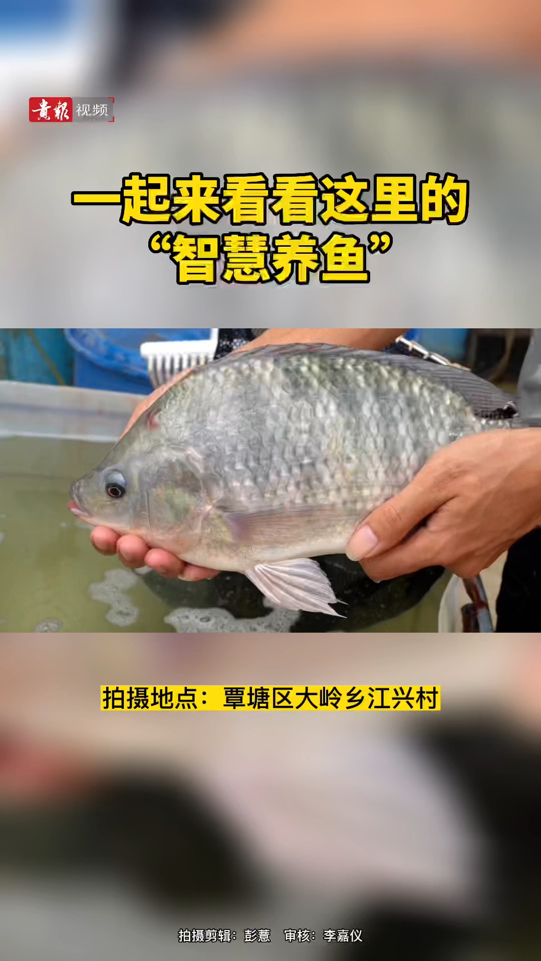 鯪魚水花最新養(yǎng)殖技術(shù),鯪魚水花最新養(yǎng)殖技術(shù)探討