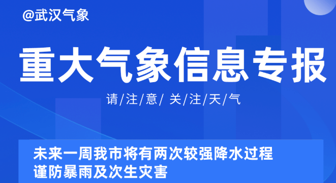 新奧精準資料免費提供510期,新奧精準資料免費提供510期，深度解析與前瞻性預測