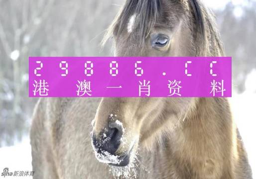 澳門精準(zhǔn)一肖一碼100%,澳門精準(zhǔn)一肖一碼100%，揭示犯罪背后的真相