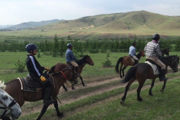 澳門今晚開特馬四不像圖,澳門今晚開特馬四不像圖，揭示違法犯罪的危害與警示