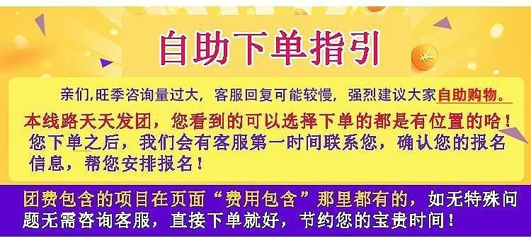 澳門天天開好彩大全53期,澳門天天開好彩，揭示背后的犯罪問題及其影響