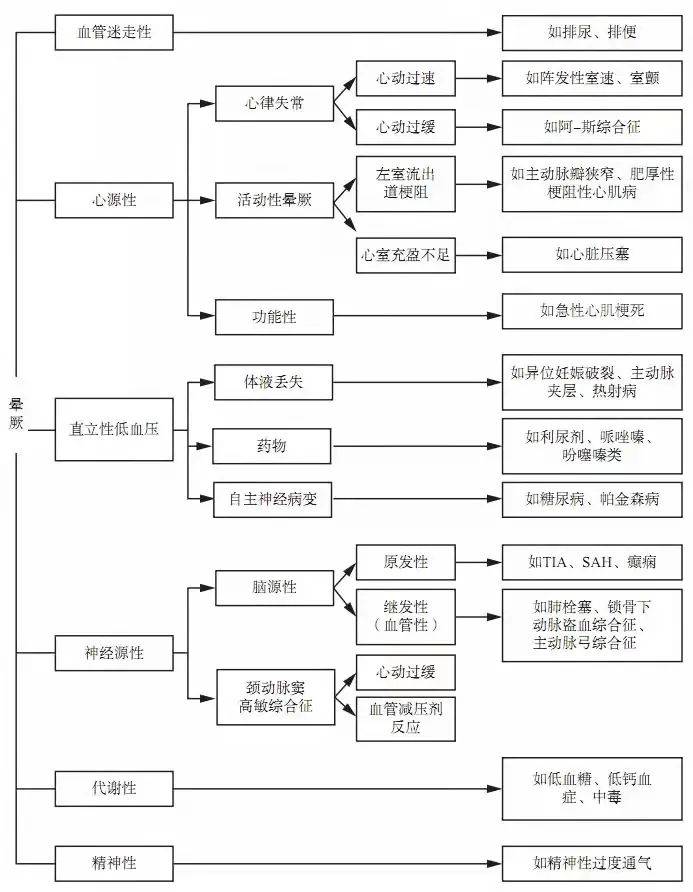 777778888王中王最新,探索數(shù)字背后的秘密，揭秘王中王最新與777778888背后的故事