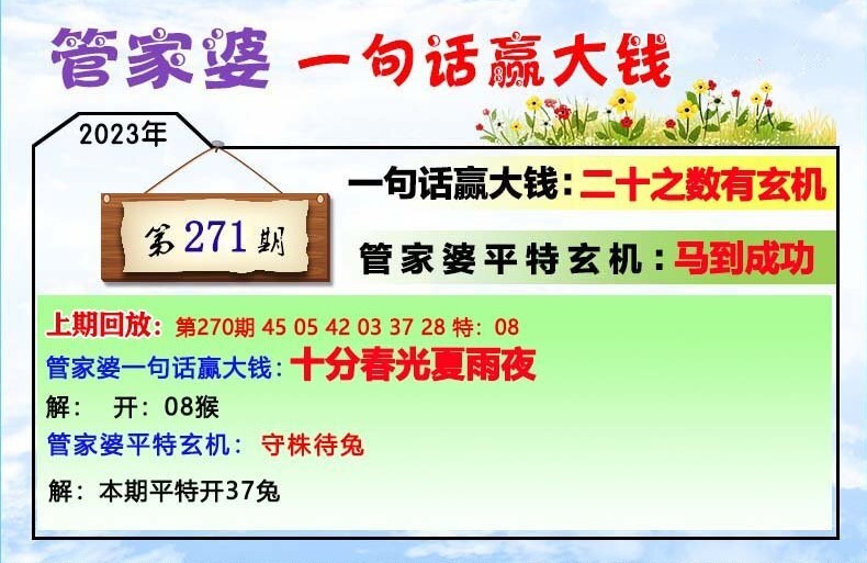 澳門一肖一碼100管家婆9995,澳門一肖一碼與管家婆9995，探索與解析