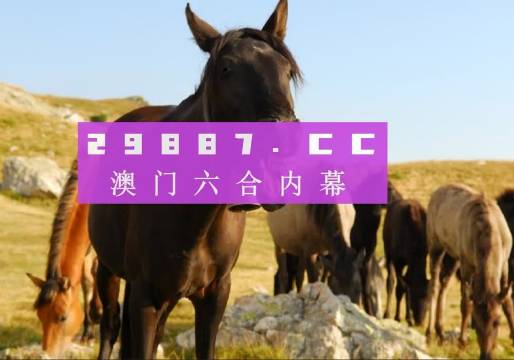 今晚澳門馬出什么特馬,今晚澳門馬出什么特馬，探索賽馬世界的神秘面紗