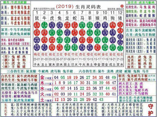 澳門正版資料大全資料生肖卡,澳門正版資料大全資料生肖卡，探索與解讀