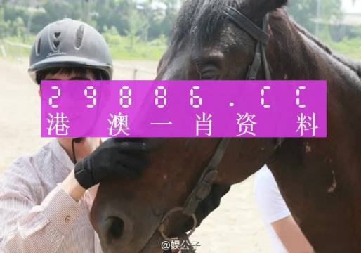 澳門最準(zhǔn)一肖一碼一碼公開,澳門最準(zhǔn)一肖一碼一碼公開，揭示背后的犯罪問題