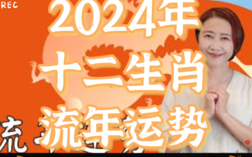 管家婆一碼中一肖2024年,管家婆的神秘預(yù)測，一碼中定，揭秘生肖運(yùn)勢2024年