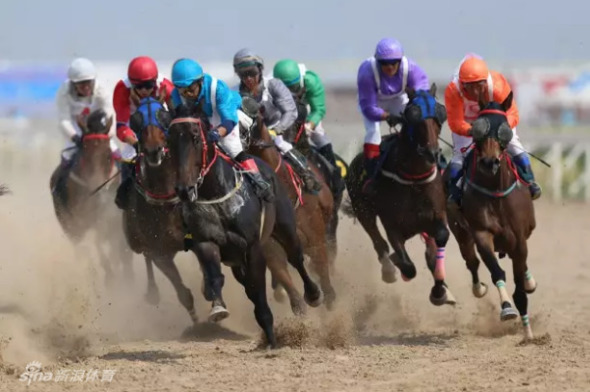 今晚澳門特馬開的什么,今晚澳門特馬的開獎結果探討