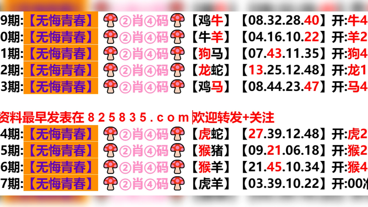 2024新奧門天天開好彩大全85期,探索新奧門，2024年天天開好彩的奧秘與期待