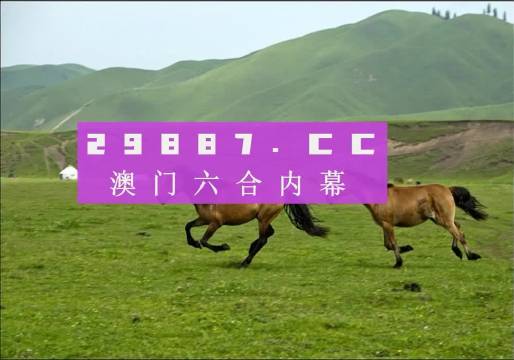 7777788888精準(zhǔn)跑狗圖正版,探索精準(zhǔn)跑狗圖正版，77777與88888的神秘結(jié)合