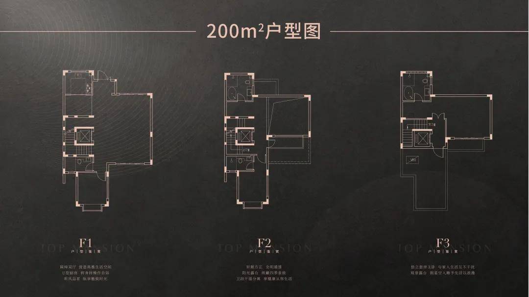 2025年1月5日 第43頁