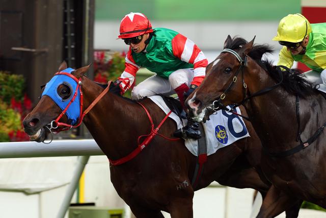 新澳今天開什么特馬,新澳今日賽馬盛況，探尋特馬競(jìng)技的魅力