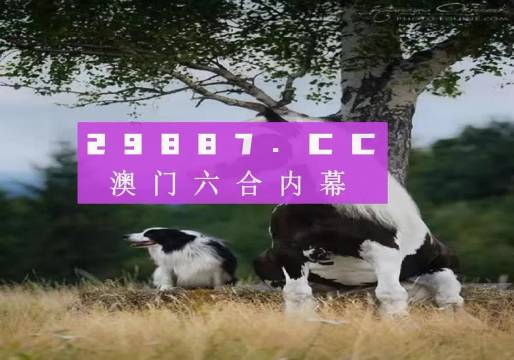 澳門今晚開特馬四不像圖,澳門今晚開特馬四不像圖——探索澳門馬圖文化的新視角