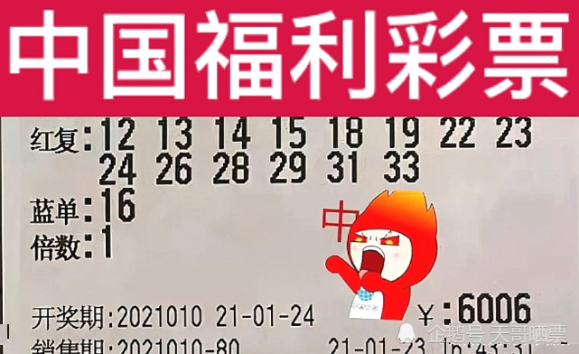 新澳2024今晚開獎(jiǎng)結(jié)果,新澳2024今晚開獎(jiǎng)結(jié)果，期待與驚喜交織的盛宴