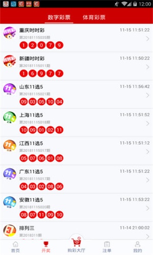 白小姐一碼一肖100準(zhǔn)確,白小姐一碼一肖，揭秘100%準(zhǔn)確的預(yù)測(cè)背后的秘密