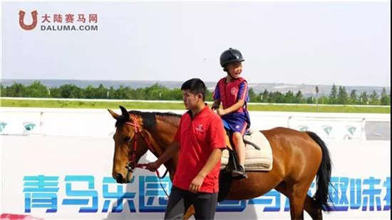 新澳今天開什么特馬,新澳今日賽馬結(jié)果揭秘，探尋特馬的勝利之路