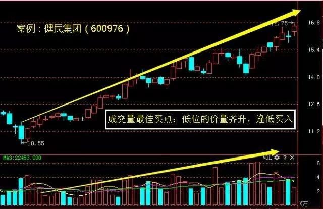 香港今晚開特馬 開獎結(jié)果66期,香港今晚開特馬，第66期開獎結(jié)果的期待與探索