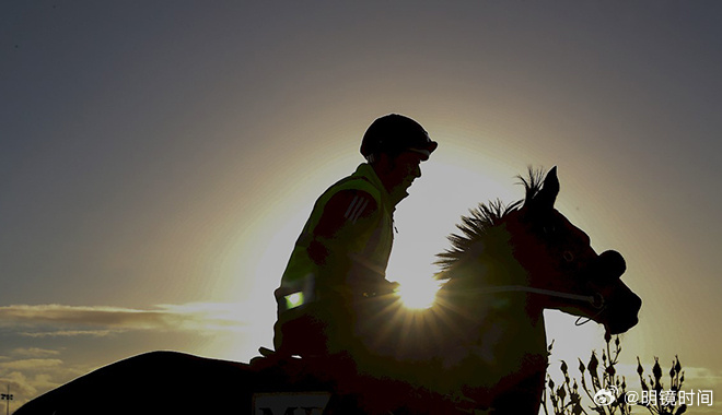 2024年澳門特馬今晚號碼,探索未來，2024年澳門特馬今晚號碼的神秘面紗