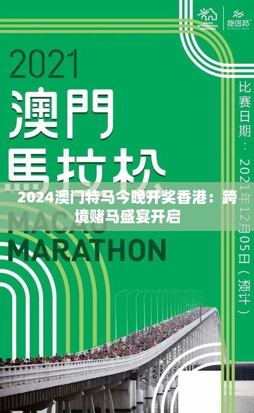 2024年澳門特馬今晚,探索澳門特馬的世界，2024年的今晚展望