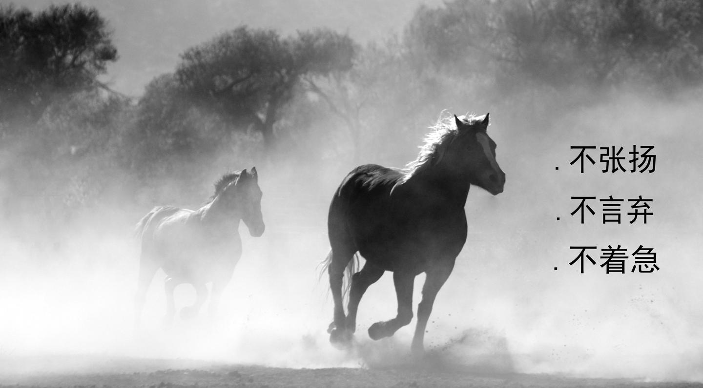 今晚澳門馬出什么特馬,今晚澳門馬會(huì)出哪些特馬？探索馬會(huì)神秘面紗下的秘密