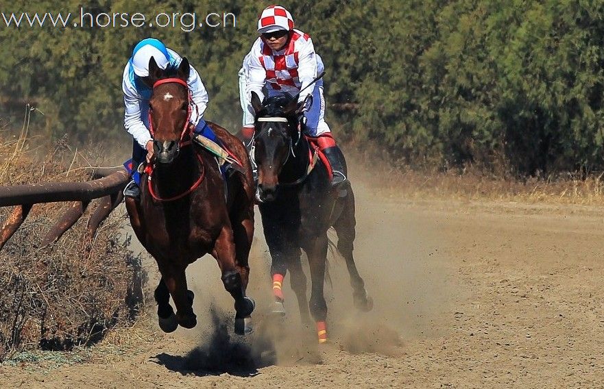 馬會香港7777788888,馬會香港，探索賽馬運(yùn)動的魅力與傳奇故事