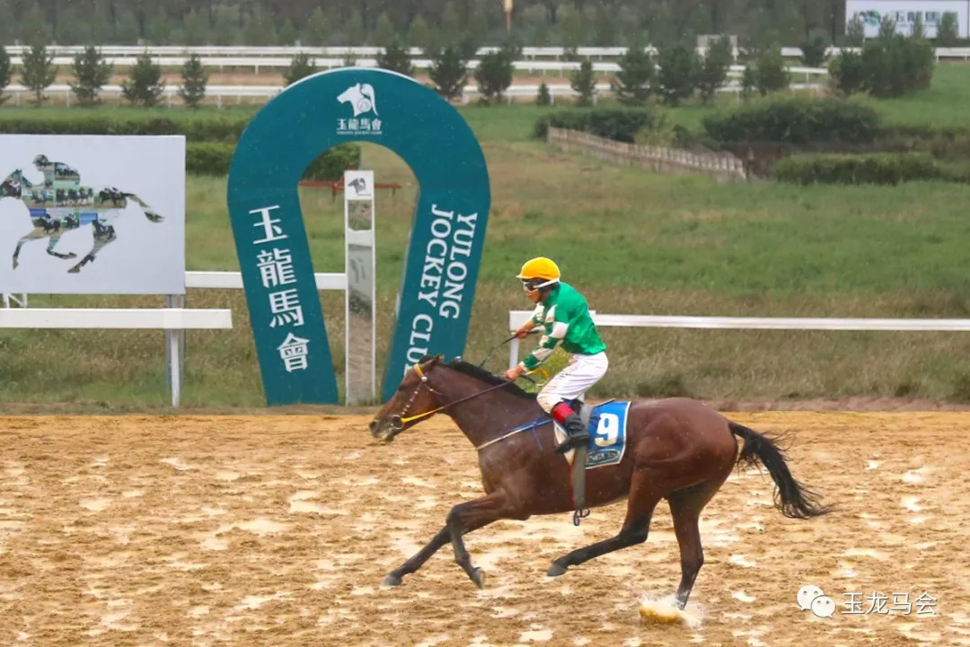 新澳今天開(kāi)什么特馬,新澳今天開(kāi)什么特馬，探索賽馬運(yùn)動(dòng)的魅力與奧秘