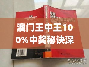 澳門王中王100期期中一期林,澳門王中王100期期中一期林，探索與解析