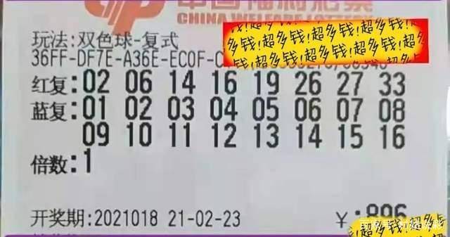 今晚澳門特馬開什么號碼,今晚澳門特馬開什么號碼——理性看待彩票與命運的交織