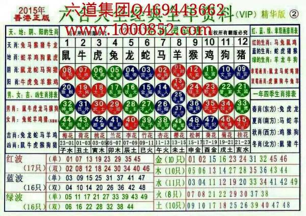 2024十二生肖49碼表,揭秘2024十二生肖與數(shù)字彩票的奧秘，49碼表全解析