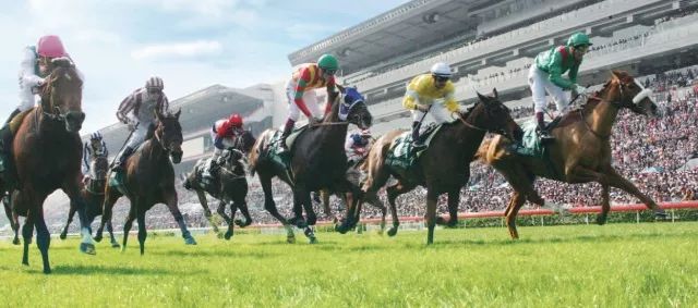 香港今晚開什么特馬,香港今晚開什么特馬，探索賽馬文化背后的故事