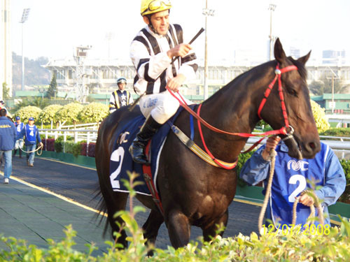 2024澳門正版今晚開特馬,澳門正版今晚開特馬，探索背后的故事與意義