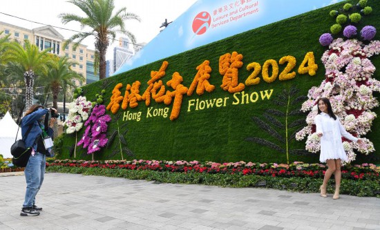 2024年香港開獎結果,揭秘未來之彩，2024年香港開獎結果展望