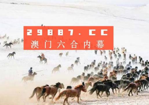 4949澳門特馬今晚開獎53期,澳門特馬第53期開獎揭曉，4949的魅力與期待