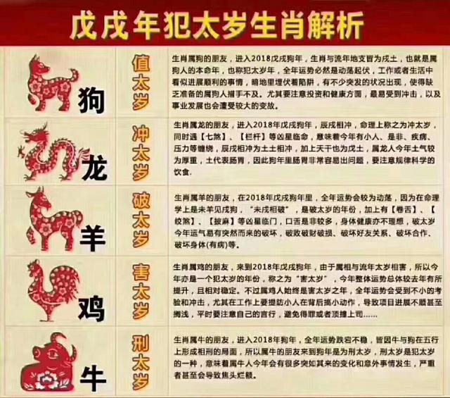 最準(zhǔn)一肖100%最準(zhǔn)的資料,揭秘生肖預(yù)測真相，最準(zhǔn)一肖資料深度解析