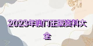 2023澳門正版全年免費(fèi)資料,澳門正版全年免費(fèi)資料，探索與期待