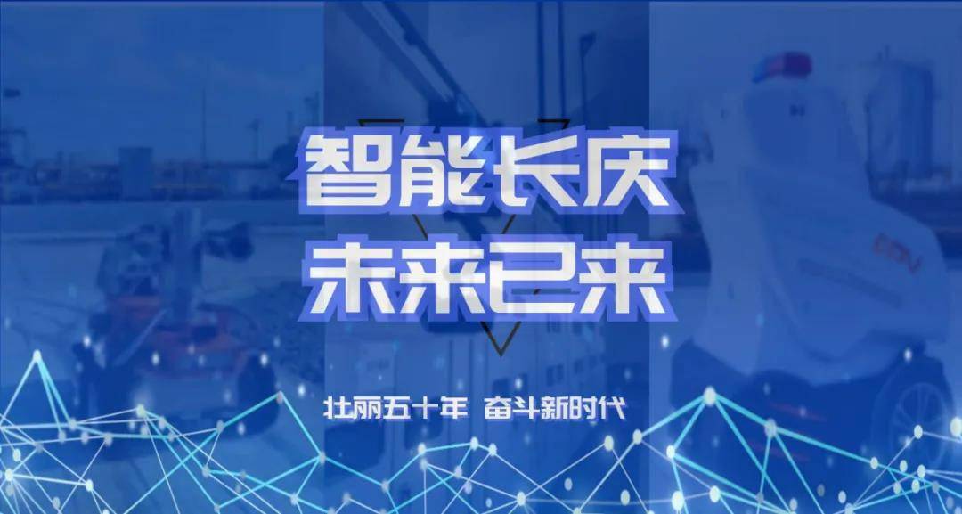 2025新奧資料免費精準071,免費精準新奧資料，探索與未來的展望（2025展望）