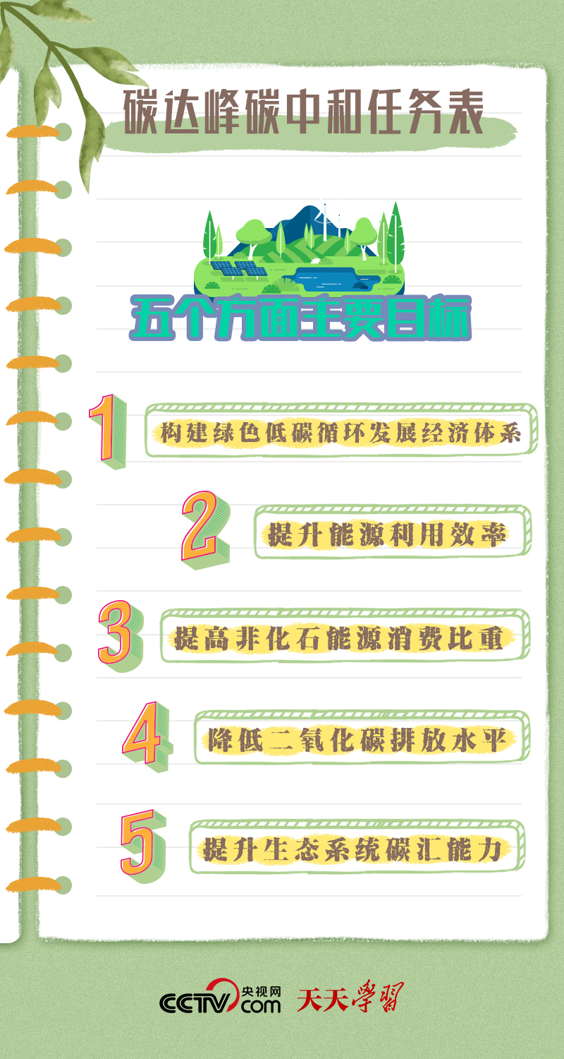 精準一肖100 準確精準的含義,精準一肖100，準確精準的含義與追求